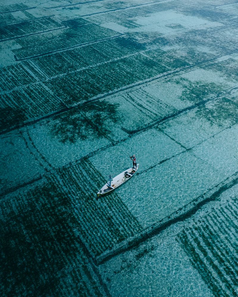 Фотография автора Анастасия Сауль