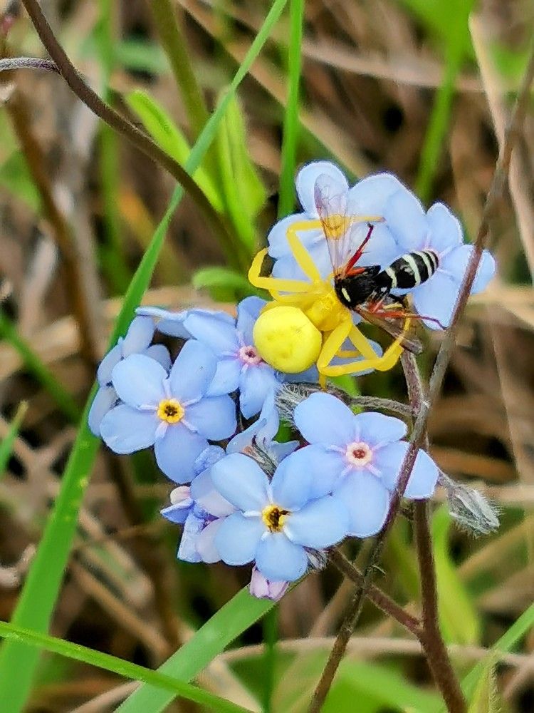 Photograph by Елена