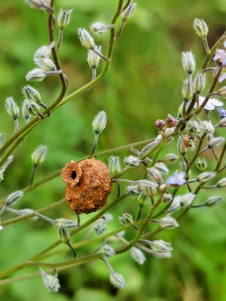 Photograph by Елена