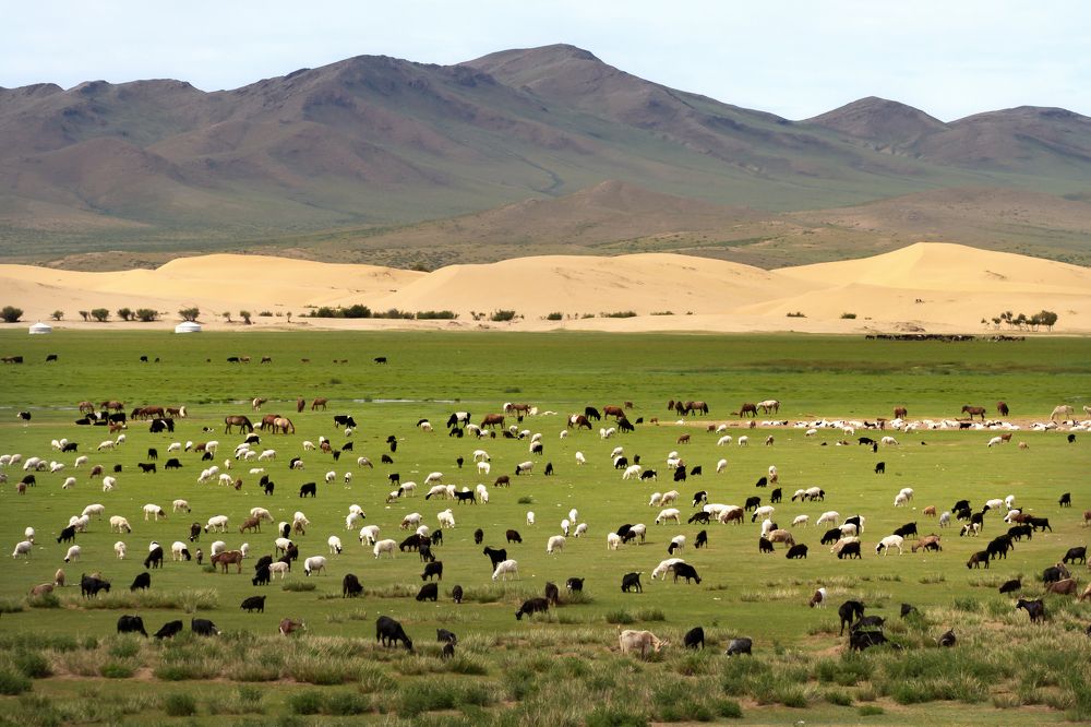 Photograph by Dashzeveg Dorjkhuyag