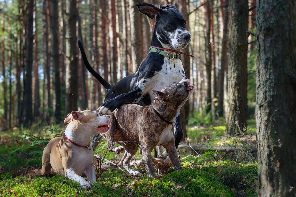 Photograph by Liudmila Bandurina