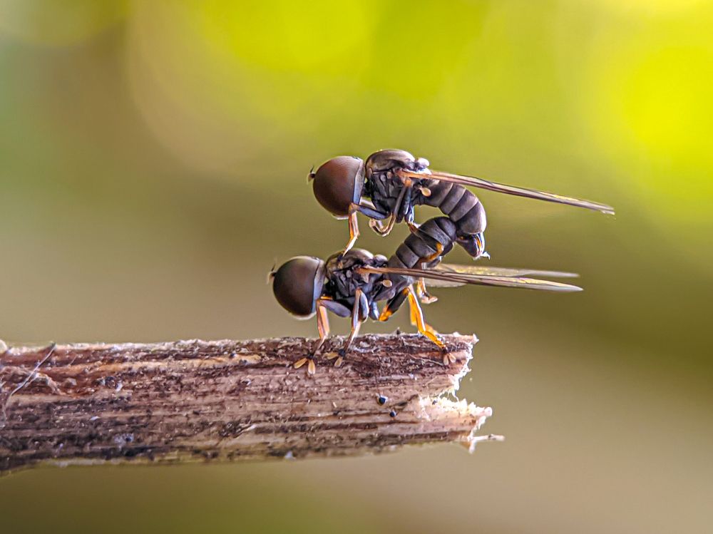 Photograph by Utpal Roy