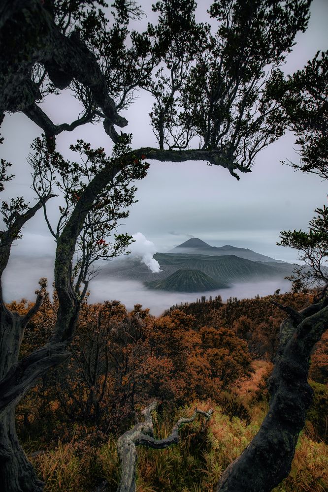 Photograph by Анастасия Сауль