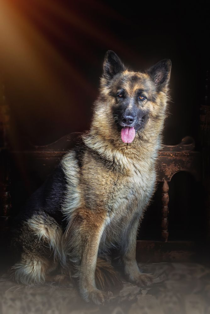 Photograph by Adriano Silva Lohmann