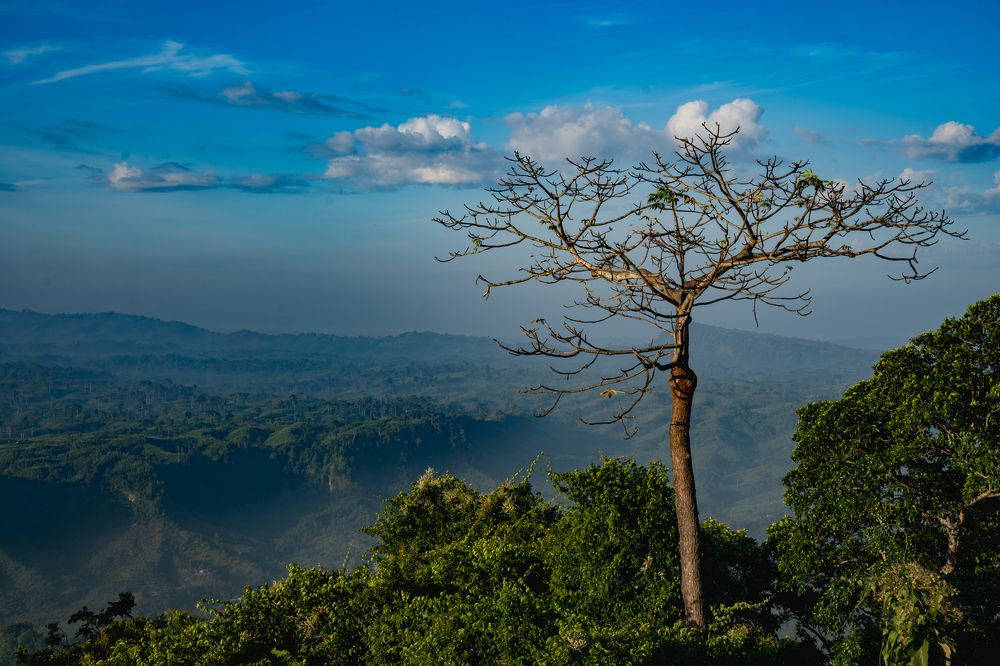 The might one stands apart