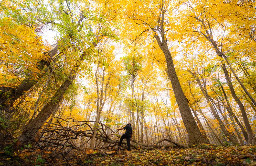 Photograph by Hawin Printo C