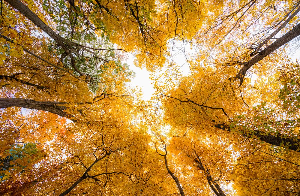 Photograph by Hawin Printo C