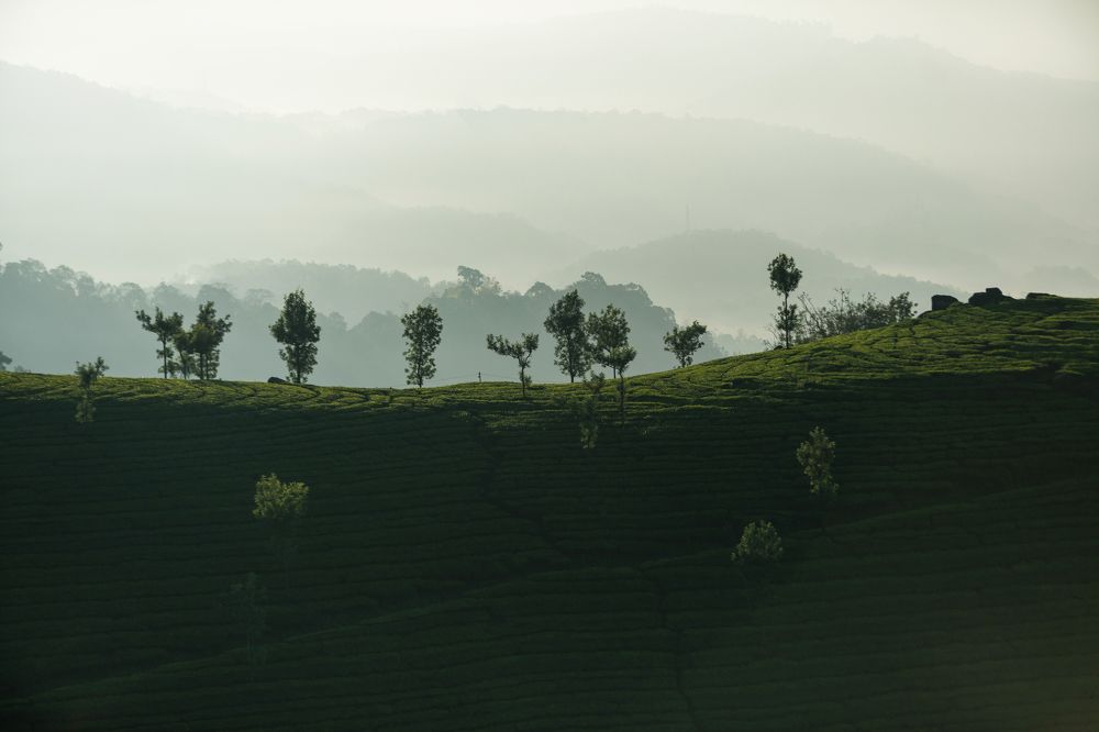 Photograph by Hawin Printo C