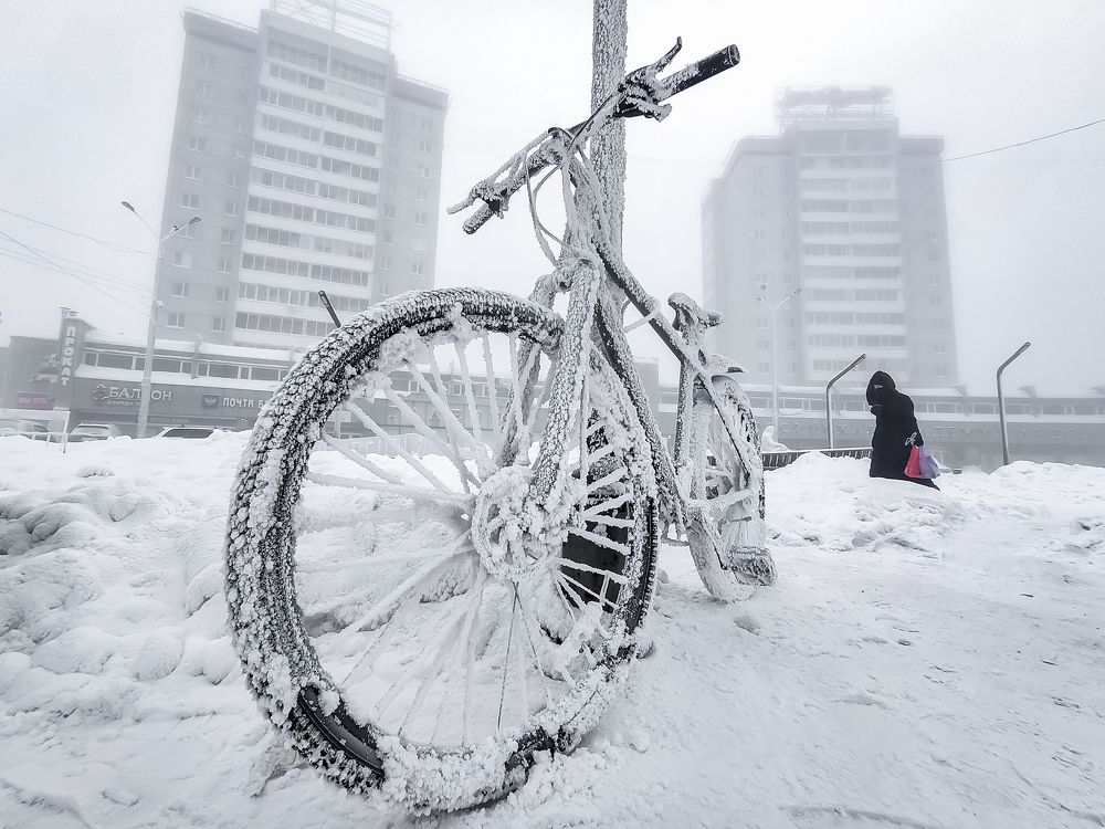 Photograph by Дмитрий Шабалин