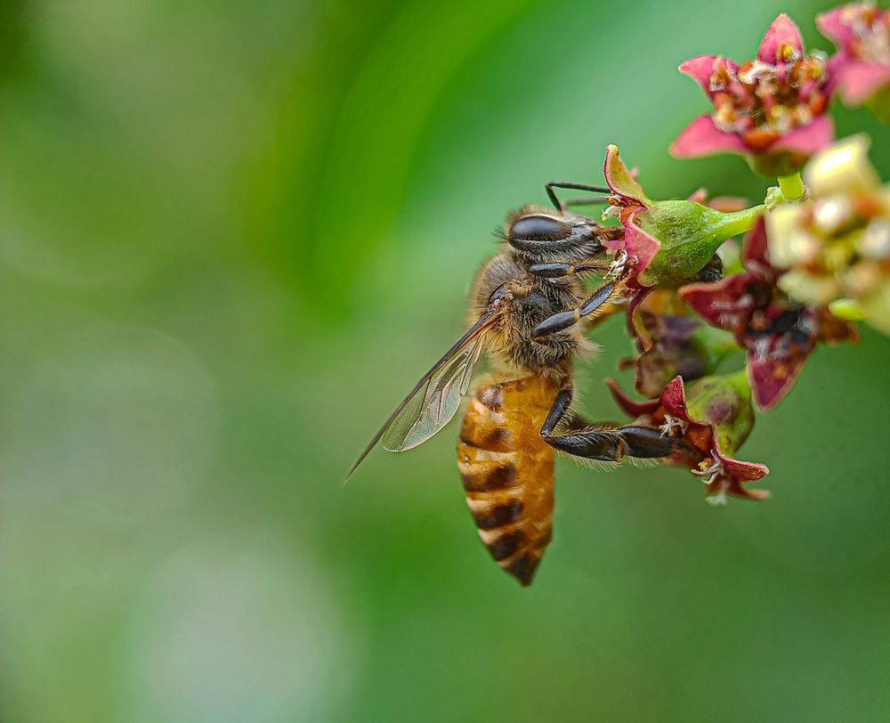 Photograph by Susmita Ghosh