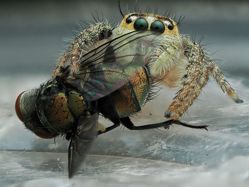 Photograph by Dzulfikri Dzulfikri