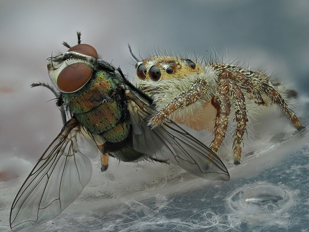 Photograph by Dzulfikri Dzulfikri