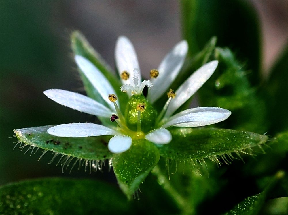 Photograph by Saeed Nosrati