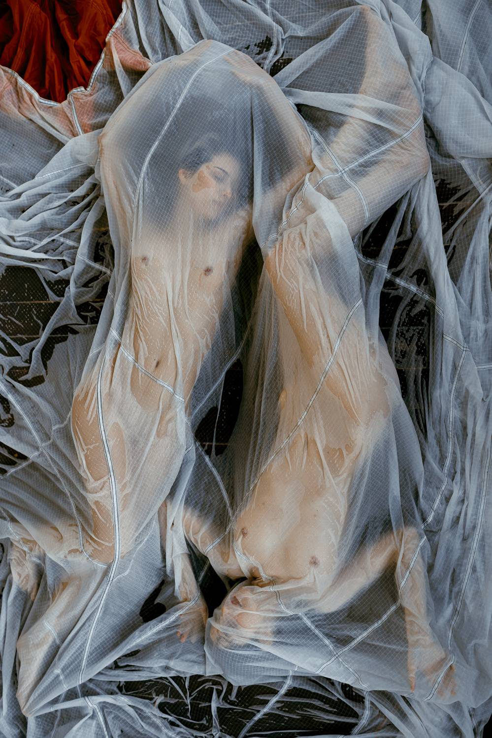 Фотография #10429555