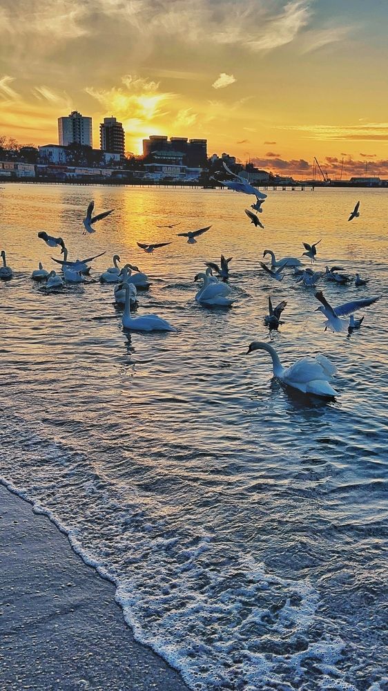 Закат в Анапе