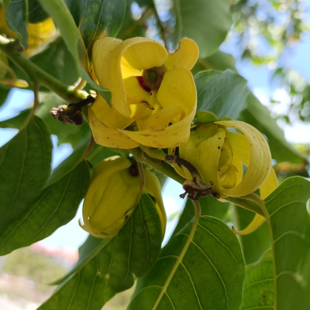 Photograph by Baiba Mennika Paegle