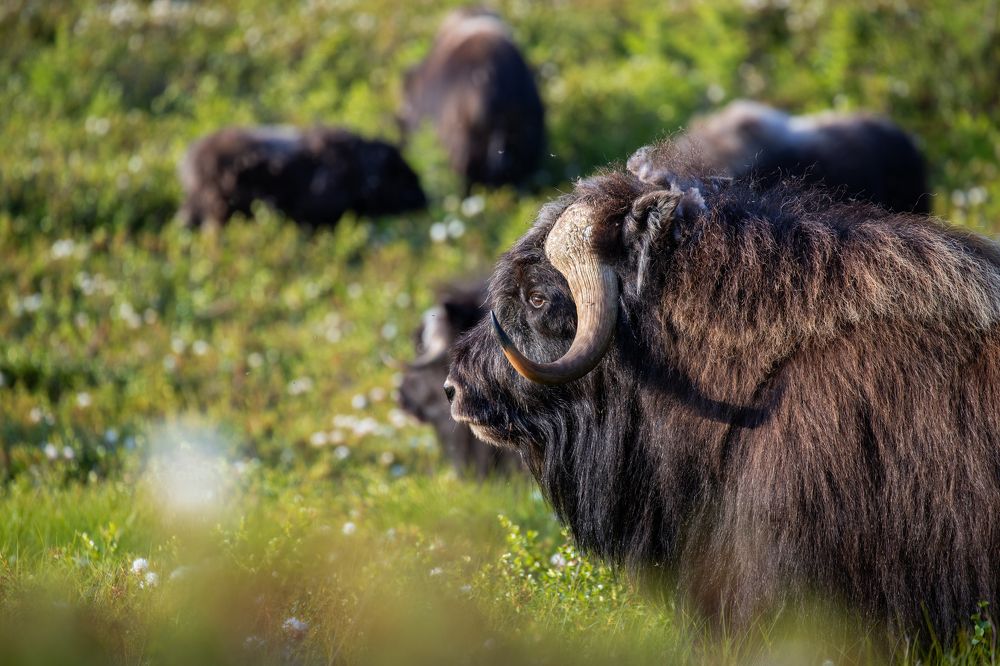 Photograph by Фёдор