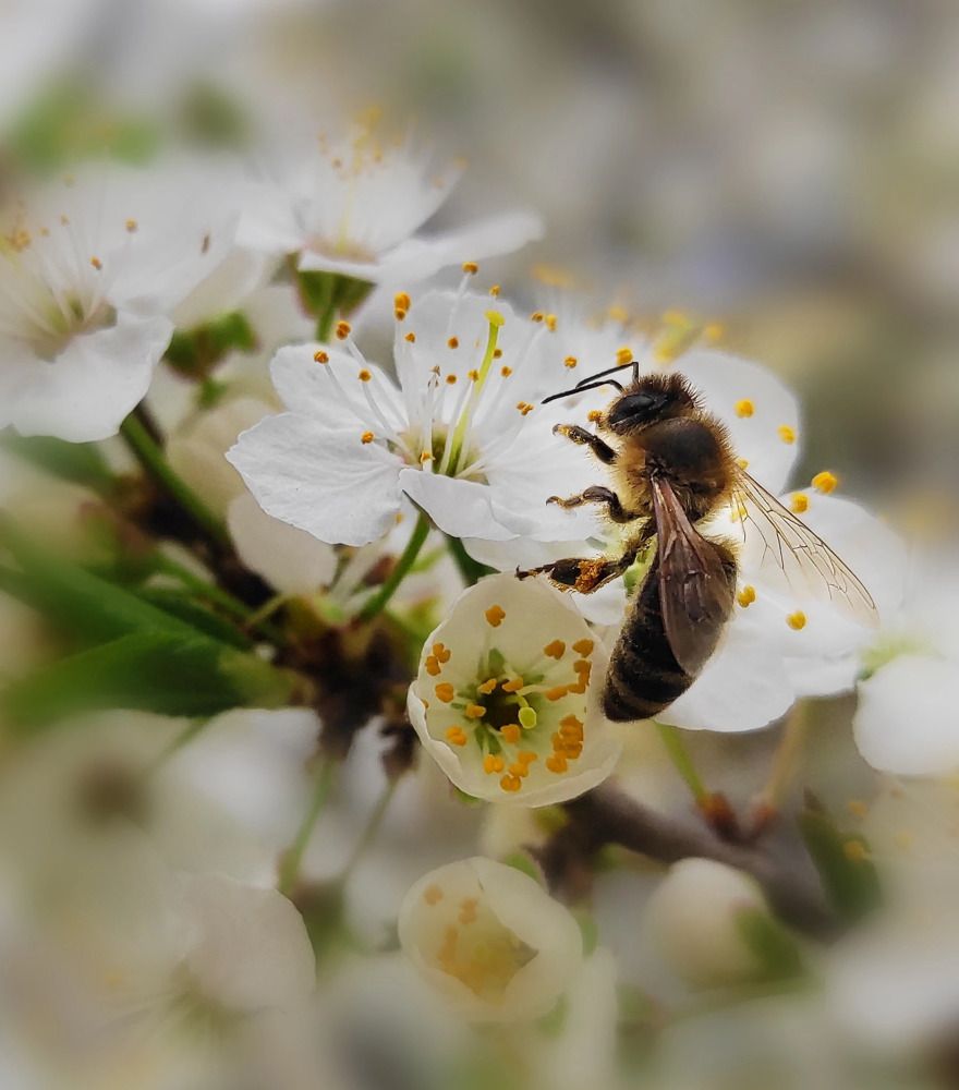 Photograph by Анастасия Семилетова