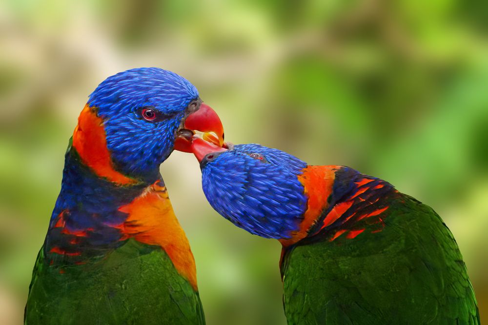 Photograph by Dzulfikri Dzulfikri