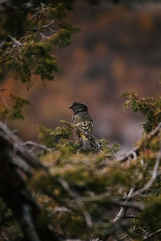 Photograph by Софья Гелевера