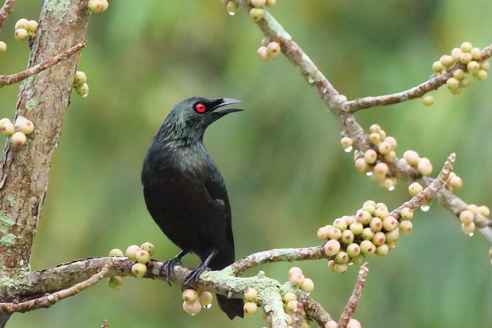 Photograph by Dzulfikri Dzulfikri