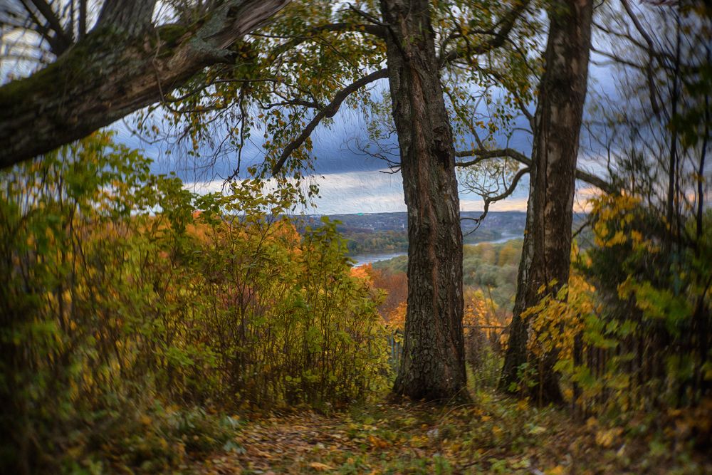Photograph by Владимир Лосман