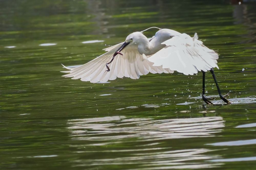 Photograph by Dzulfikri Dzulfikri