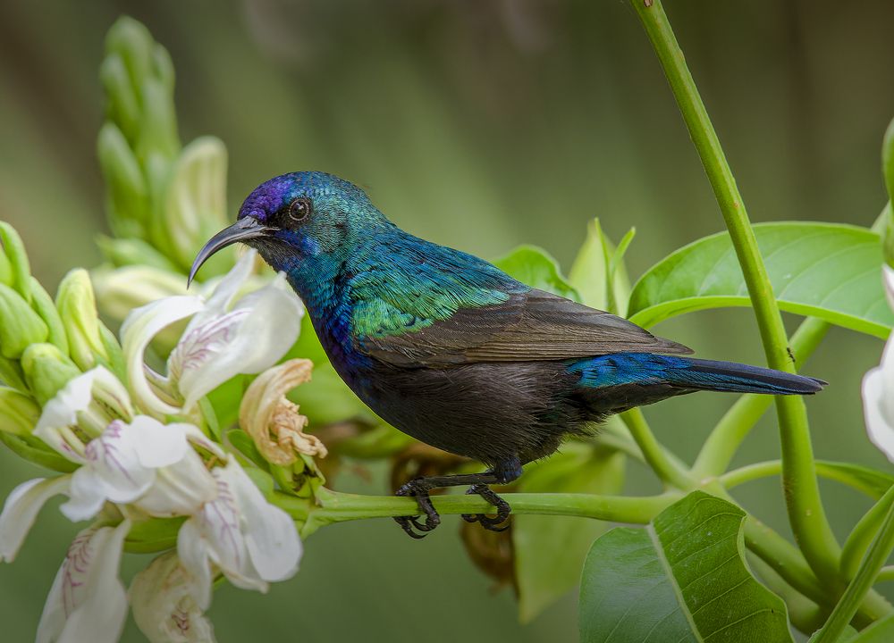 Фотография автора Alexander Amromin