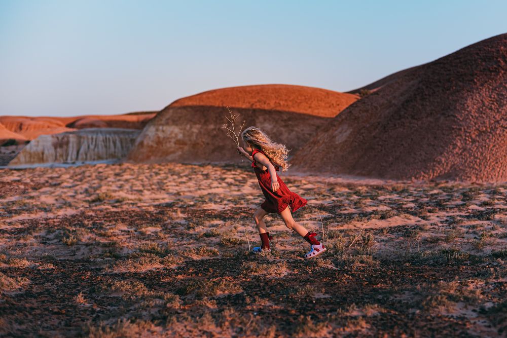 Фотография автора Дарья Шевченко