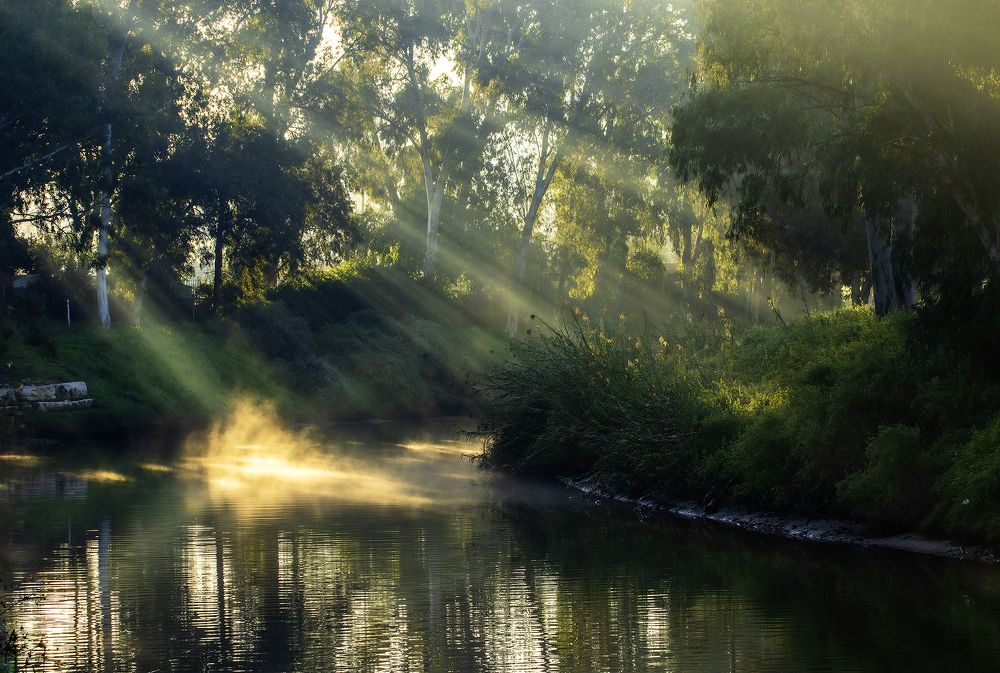 Фотография автора Alexander Amromin