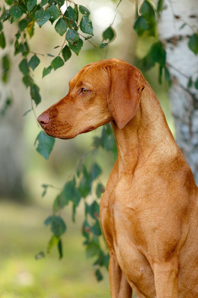 Photograph by Людмила Бандурина