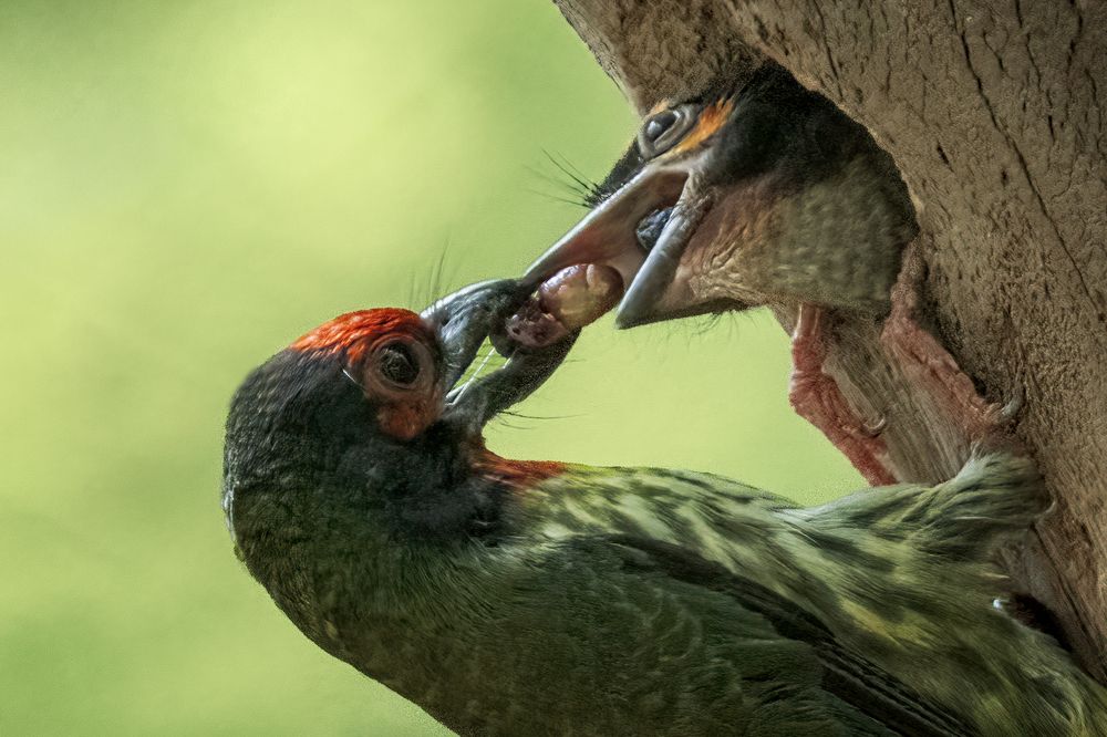 Photograph by Dzulfikri Dzulfikri