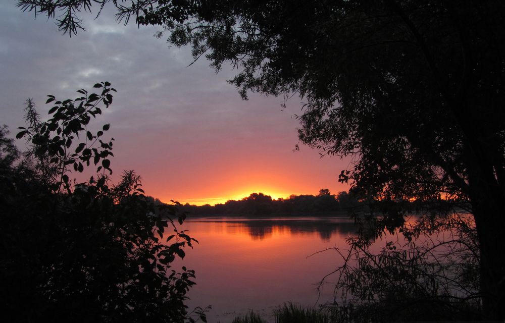 Photograph by Алексей Гапеев