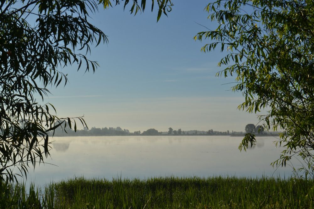 Photograph by Алексей Гапеев