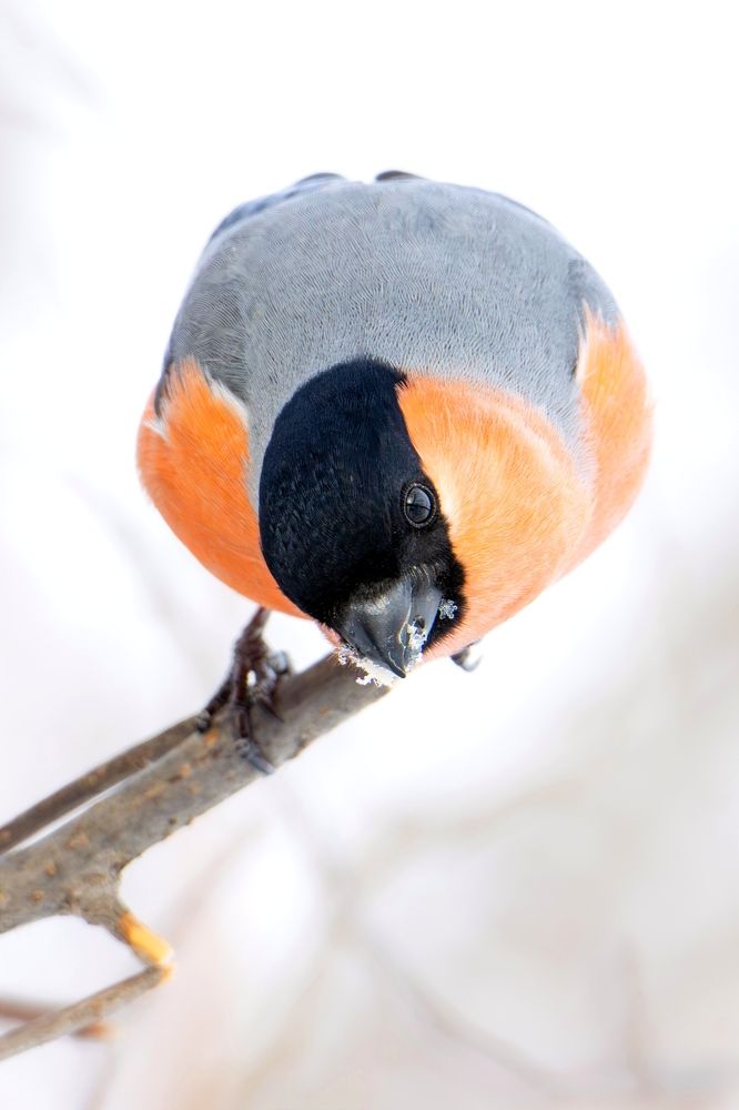 Photograph by Бурыкин Илья