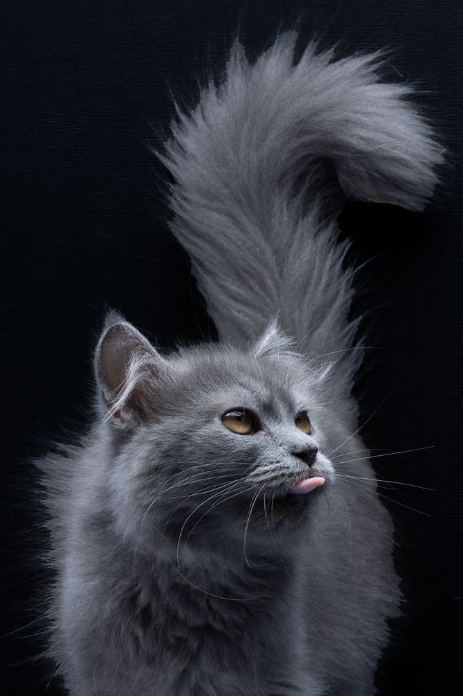 Photograph by Dzulfikri Dzulfikri