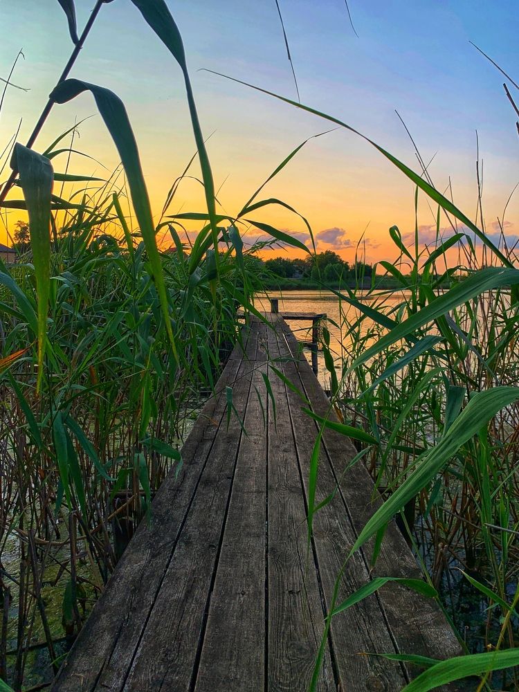 На закате дня