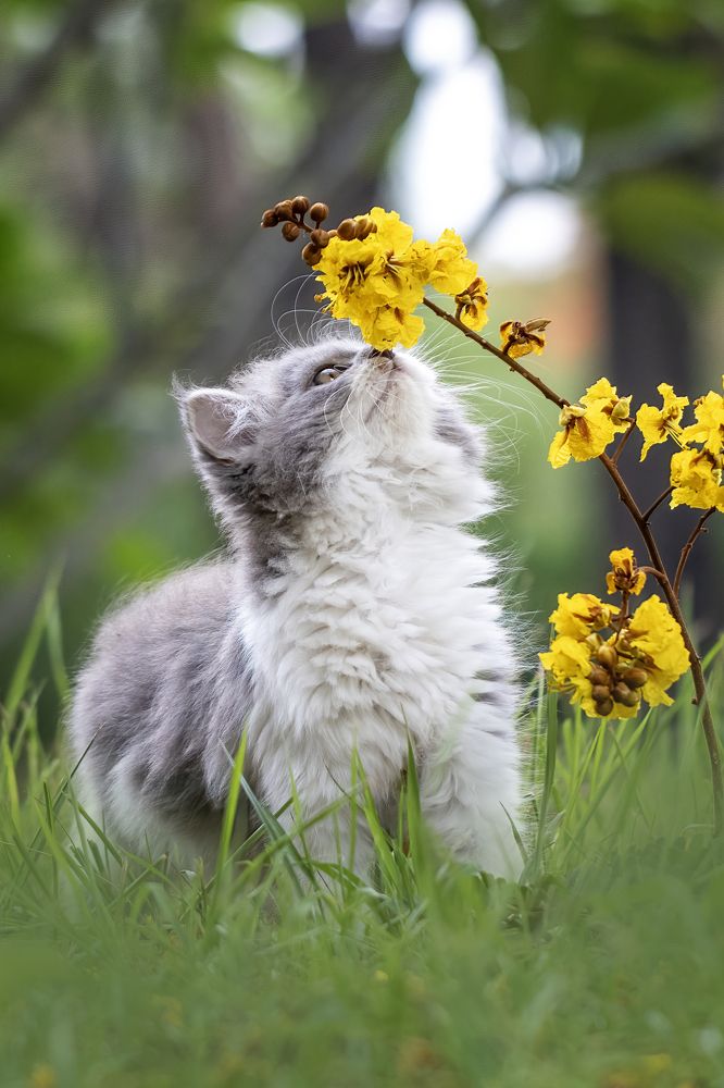 Photograph by Dzulfikri Dzulfikri