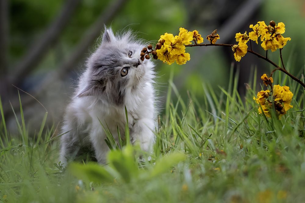Photograph by Dzulfikri Dzulfikri