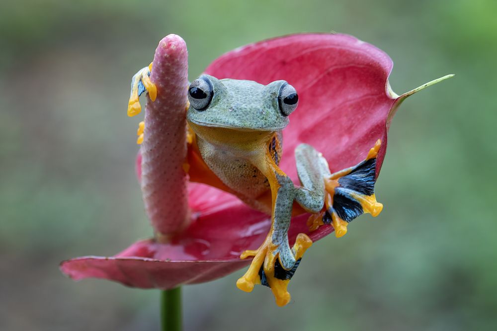 Photograph by Dzulfikri Dzulfikri