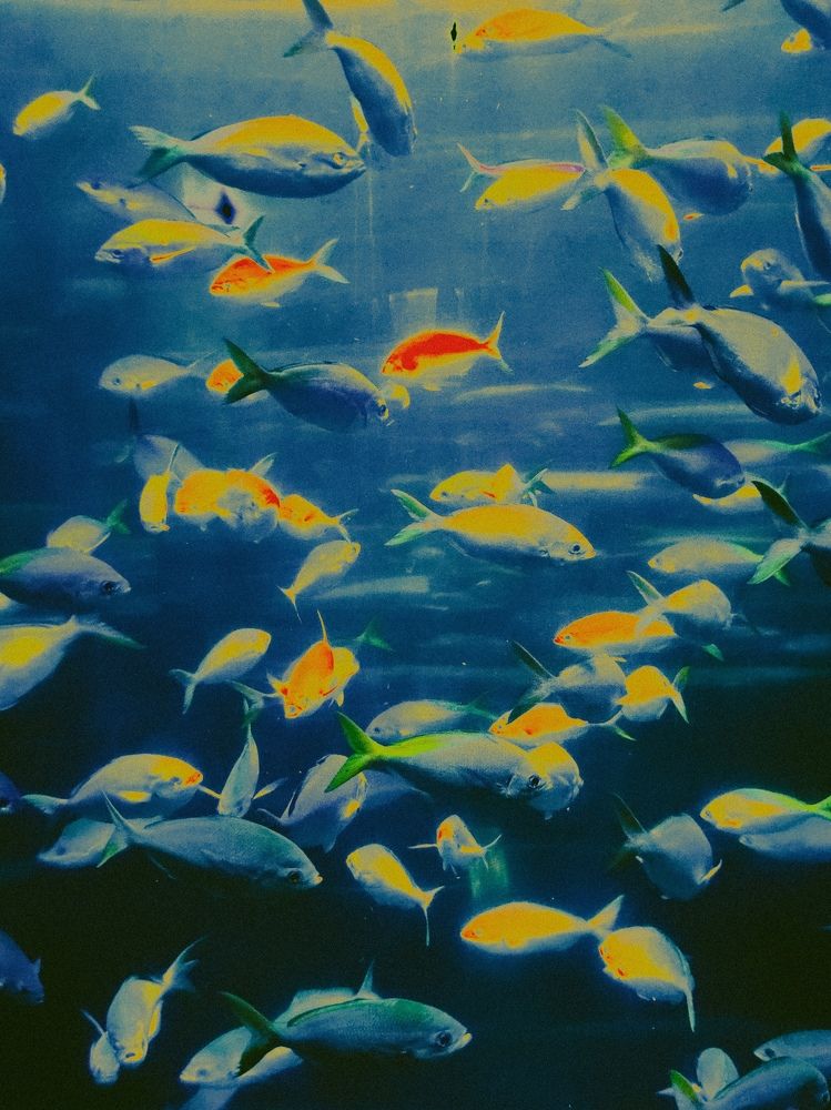 Инверсия аквариума