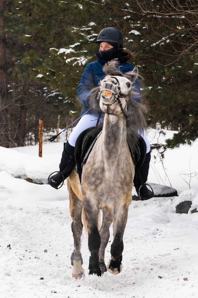 Фотография автора Евгения Гунина