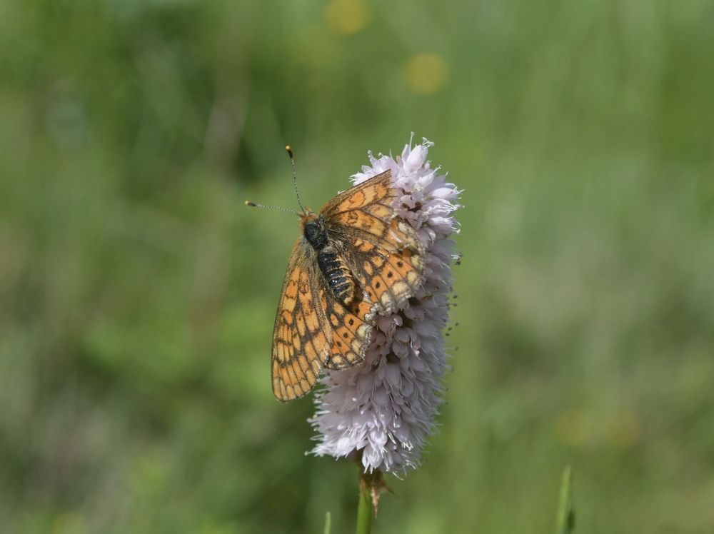 Photograph by Анастасия Рыжакова