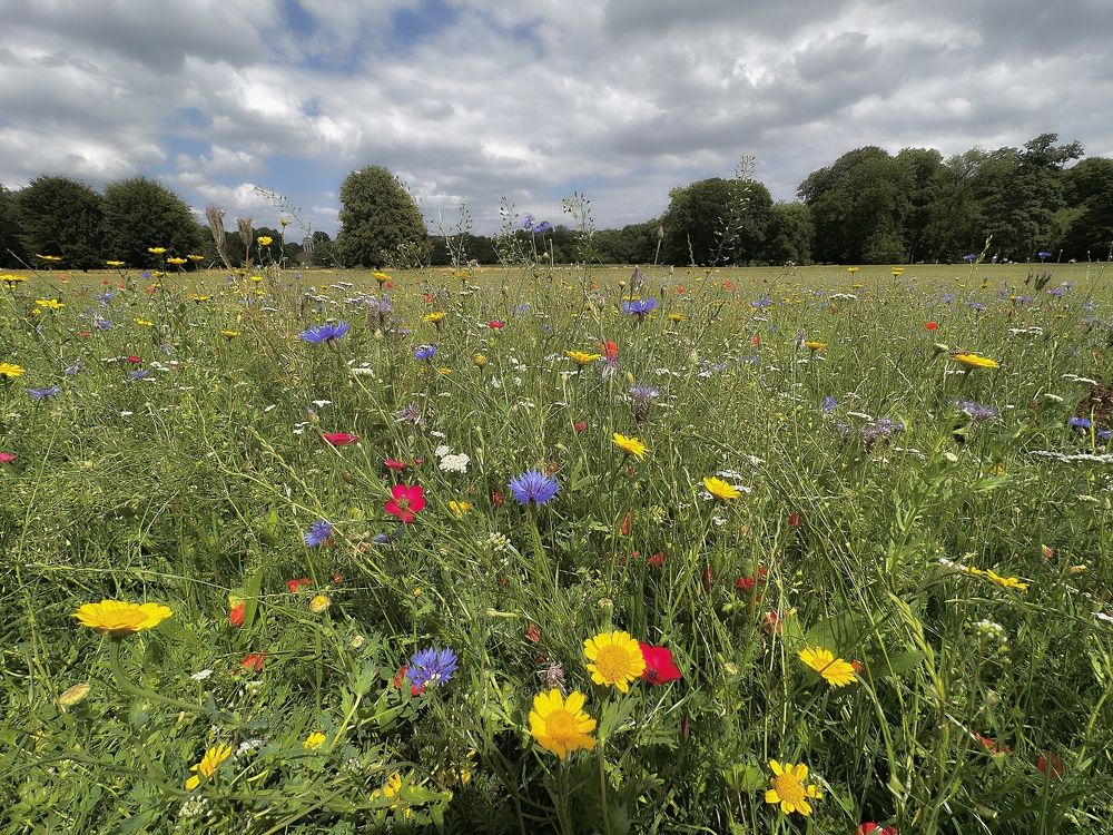 Photograph by Искандар Газизов