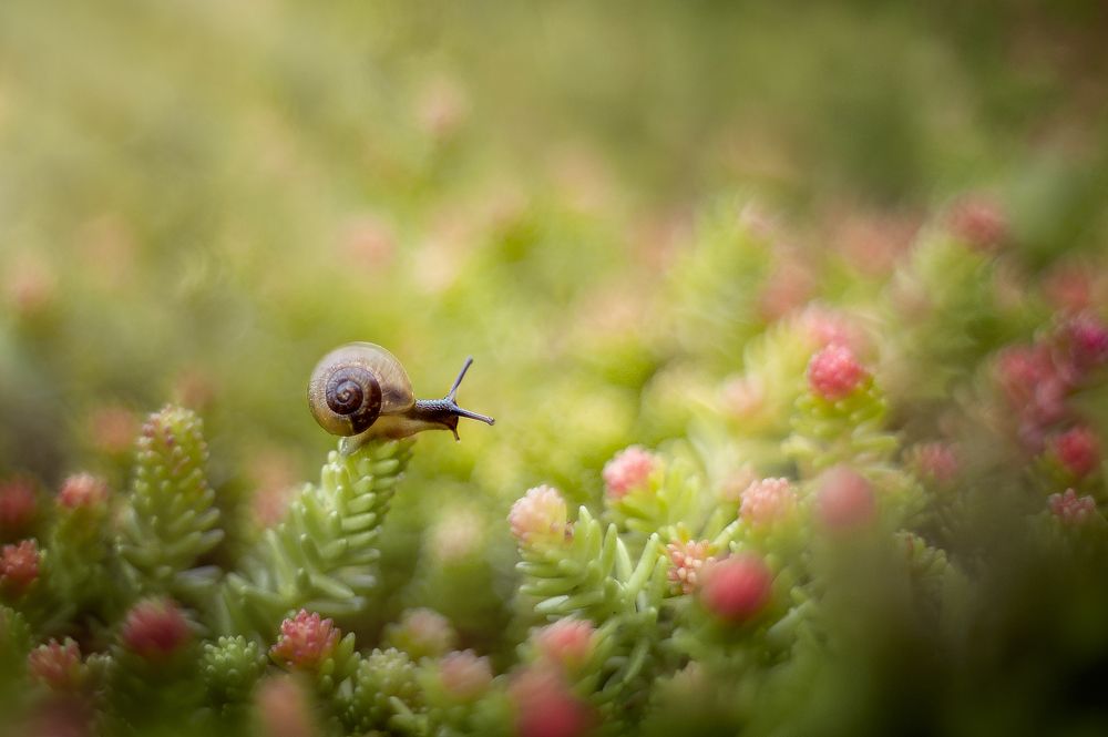Photograph by Громова Анна