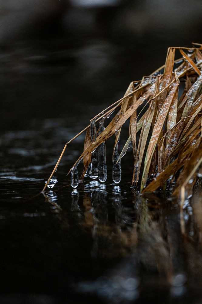 Photograph by Дмитрий Ефимов