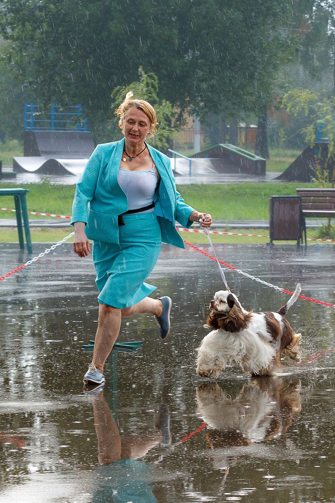 Photograph by Людмила Бандурина