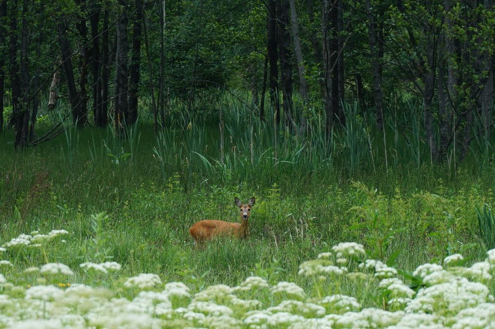 Photograph by Андрей Казаков