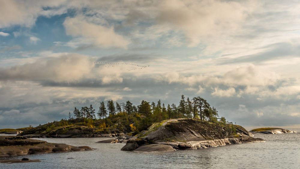 Photograph by Дмитрий Климов