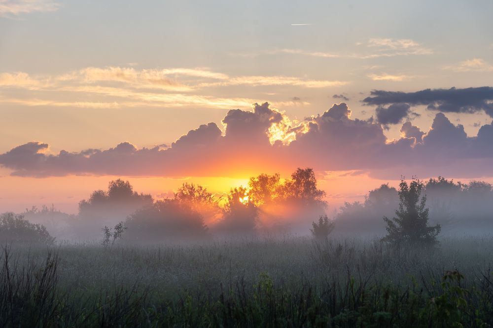 Photograph by Дмитрий Климов